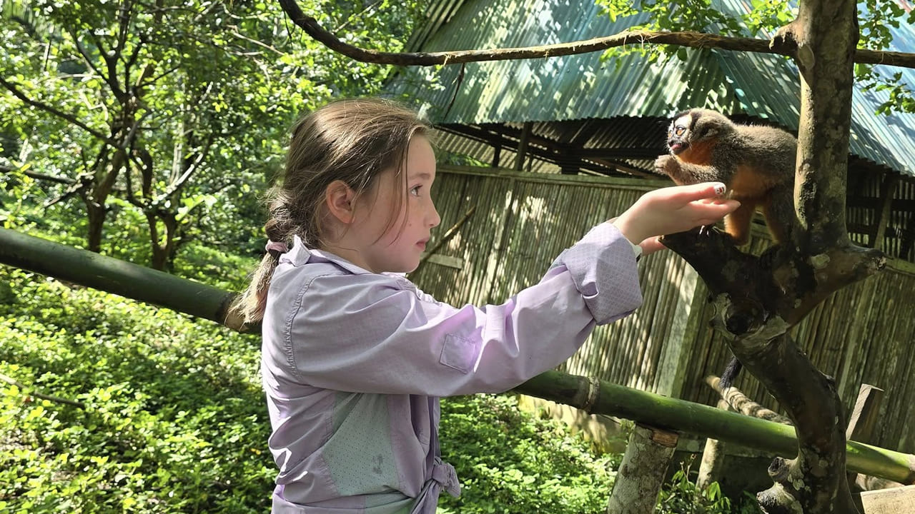 Tambopata Rainforest 4 Days Tour